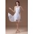 One-Shoulder Sleeveless Short/Mini Ruffles Prom/Formal Evening Dresses 02021479