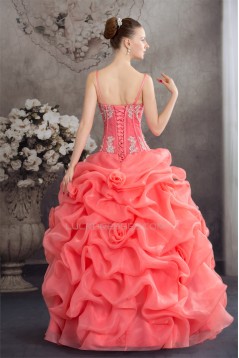 Ball Gown Satin Lace Organza Spaghetti Straps Princess Prom/Formal Evening Dresses 02020273