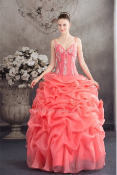 Ball Gown Satin Lace Organza Spaghetti Straps Princess Prom/Formal Evening Dresses 02020273