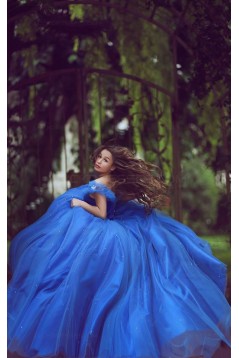 Ball Gown Off-the-Shoulder Blue Prom Dresses Evening Gowns 3020224