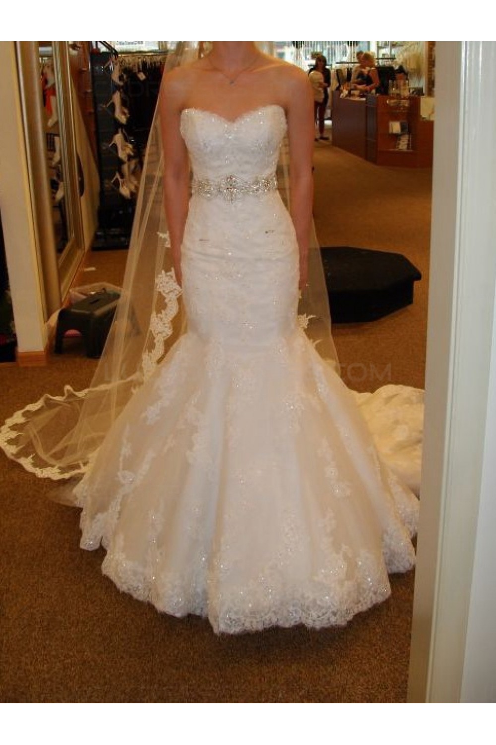 lace sparkle wedding dress